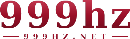 999hz logo